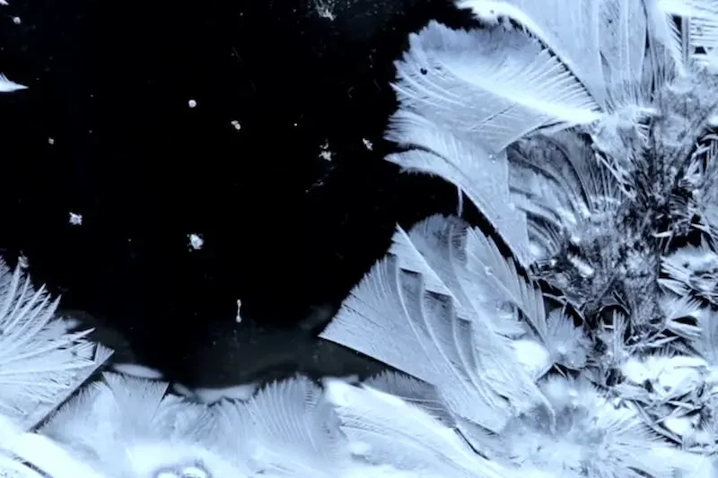 Screen Freezing or Black Screen